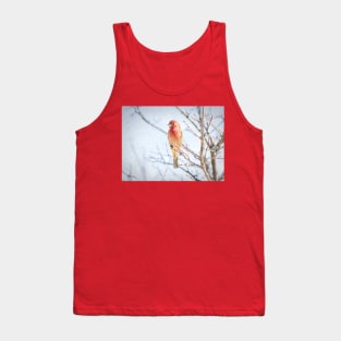 Backyard House Finch Painterly Tank Top